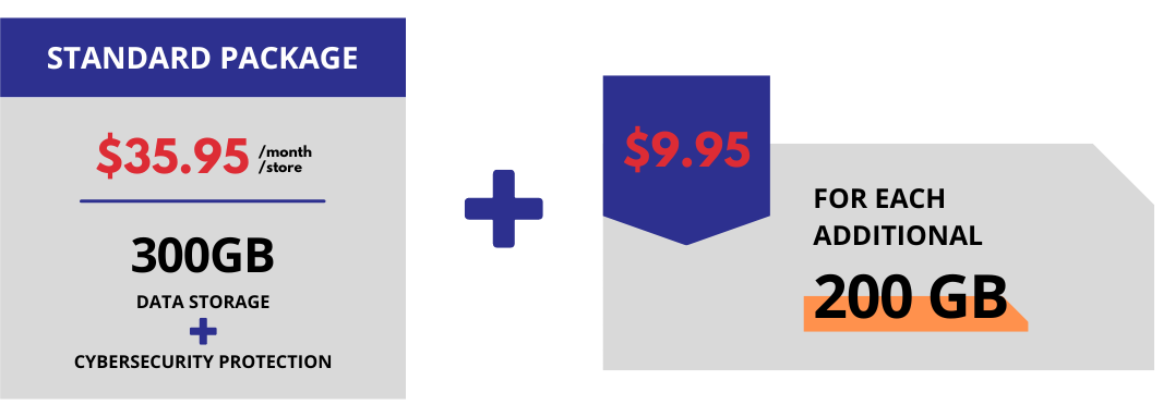 Pricing is separated into four tiers - Basic at 100GB for $20.00 per month -
Standard at 300GB for $35.00 per month - Professional at 600GB for $60.00 per month - Enterprise at
1TB for $90.00 per month. All plans include Cybersecurity Protection